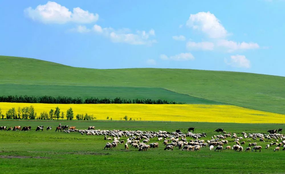 追寻足迹，内蒙古，我的青春印记