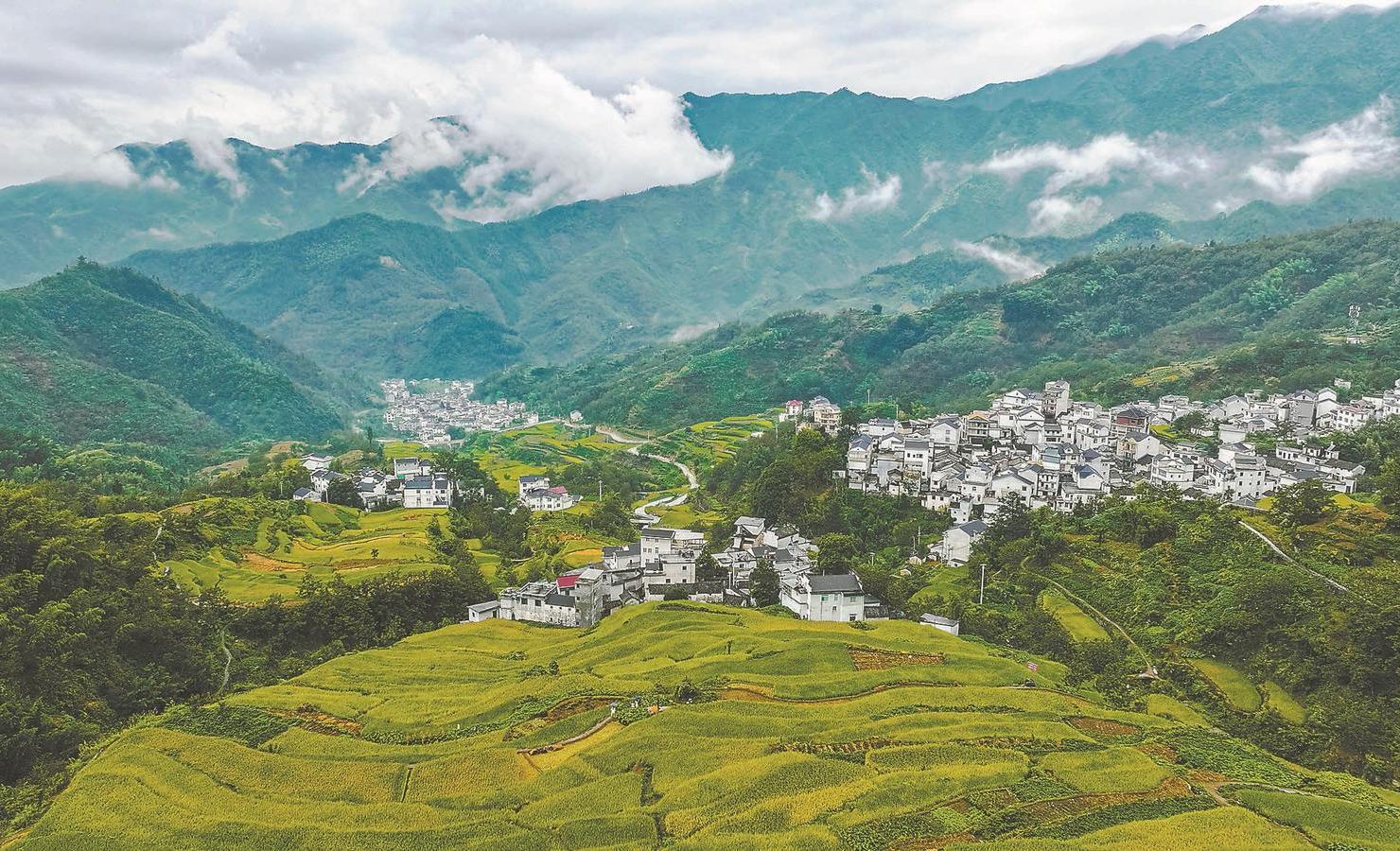 寻味安徽，小巷深处的小店，传承老味道的秘密角落