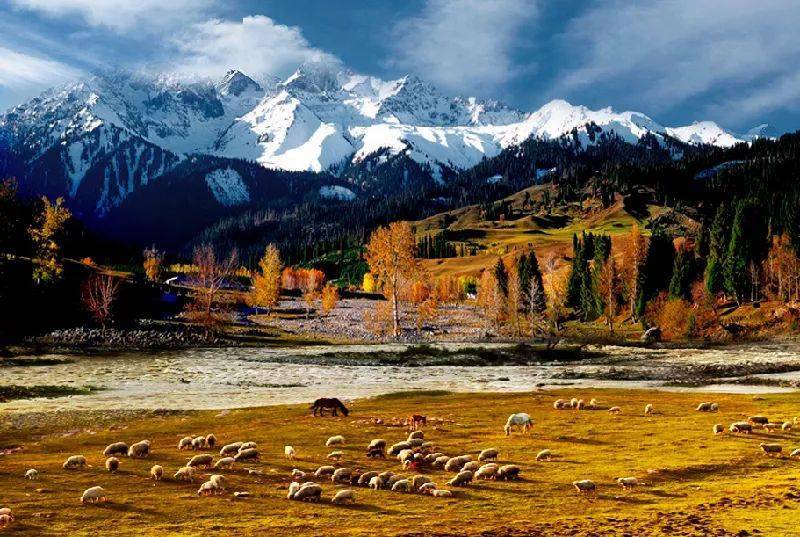 新疆，自然浪漫之旅